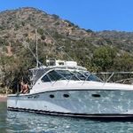 2009 Custom Tiara Yachts 3600 Open Dana Point, CA 92629 (Sold) on Pre Owned Boats For Sale